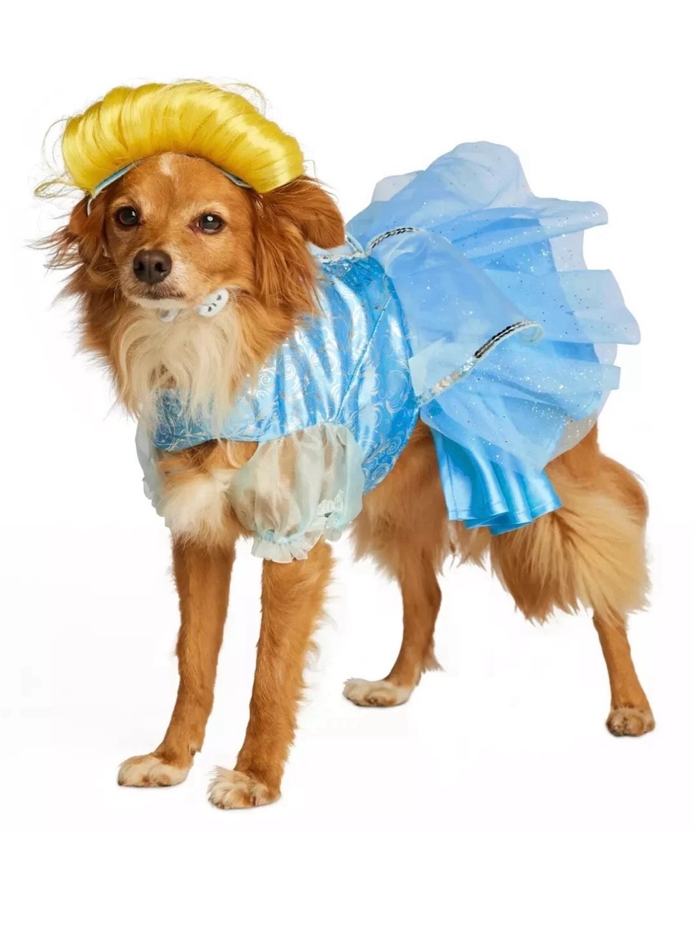 Blue Princess Dog Costume Dress with Yellow Wig